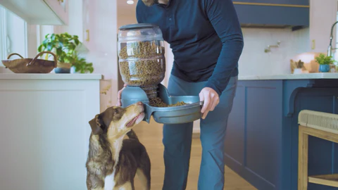 Quality Care for Every Pet